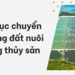 Thủ tục chuyển nhượng đất nuôi trồng thủy sản