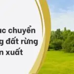 Thủ tục chuyển nhượng đất rừng sản xuất