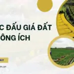 Thủ tục đấu giá đất công ích