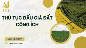 Thủ tục đấu giá đất công ích