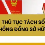 Thủ tục tách sổ hồng đồng sở hữu