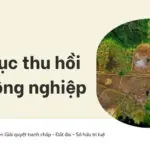 Thủ tục thu hồi đất nông nghiệp