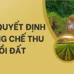 Mẫu quyết định cưỡng chế thu hồi đất