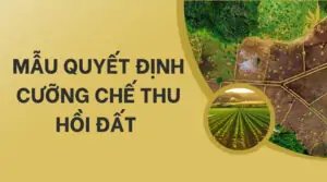 Mẫu quyết định cưỡng chế thu hồi đất