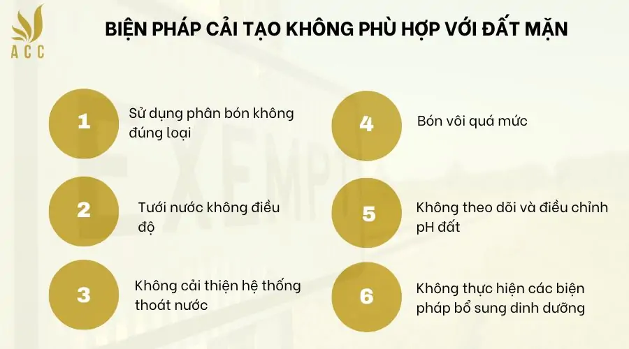 Biện pháp cải tạo không phù hợp với đất mặn