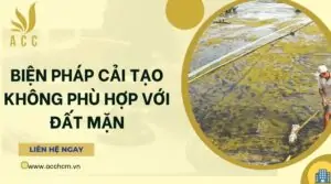 Biện pháp cải tạo không phù hợp với đất mặn