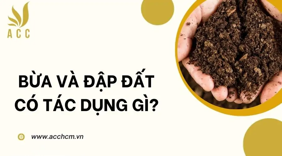 Bừa và đập đất có tác dụng gì