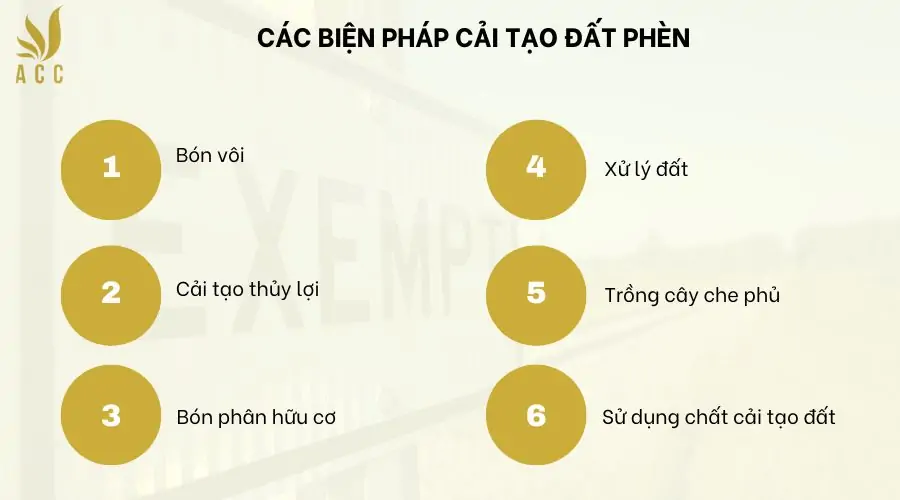 Các biện pháp cải tạo đất phèn 