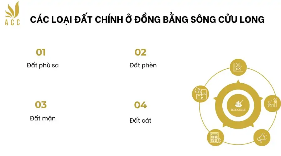 Các loại đất chính ở đồng bằng sông cửu long