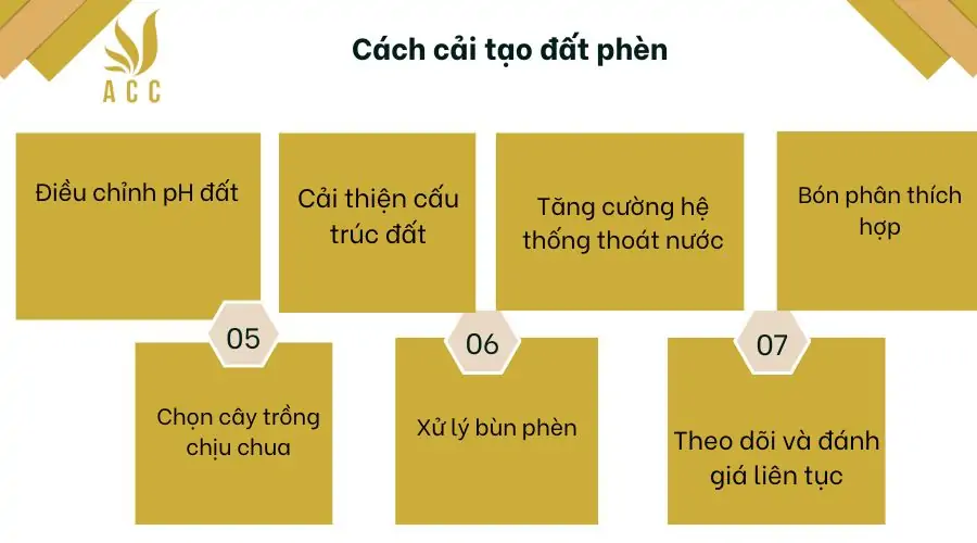 Cách cải tạo đất phèn