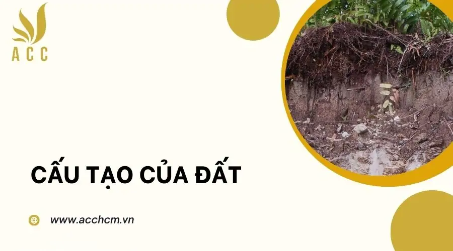 Cấu tạo của đất