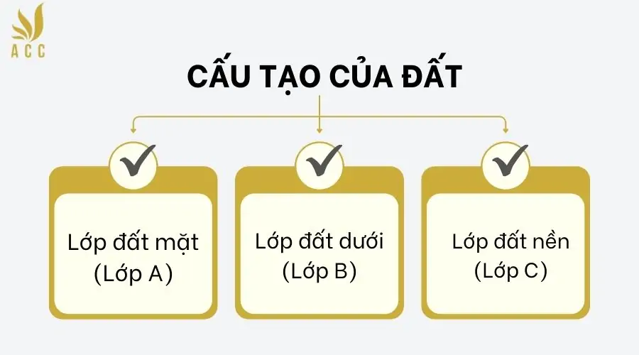 Cấu tạo của đất