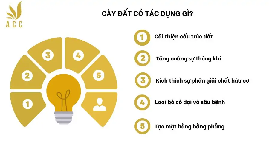 Cày đất có tác dụng gì 