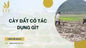 Cày đất có tác dụng gì