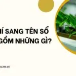 Chi phí sang tên sổ hồng gồm những gì