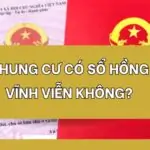 Chung cư có sổ hồng vĩnh viễn không?