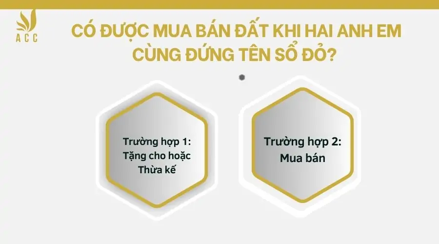 Có được mua bán đất khi hai anh em cùng đứng tên sổ đỏ