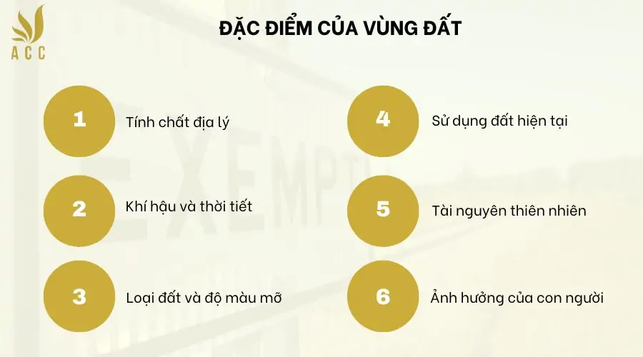 Đặc điểm của vùng đất