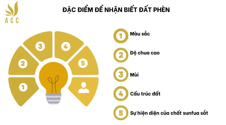 Đặc điểm để nhận biết đất phèn