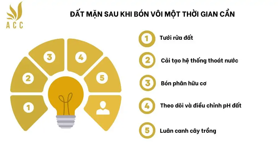 Đất mặn sau khi bón vôi một thời gian cần