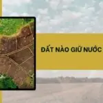 Đất nào giữ nước tốt nhất ?