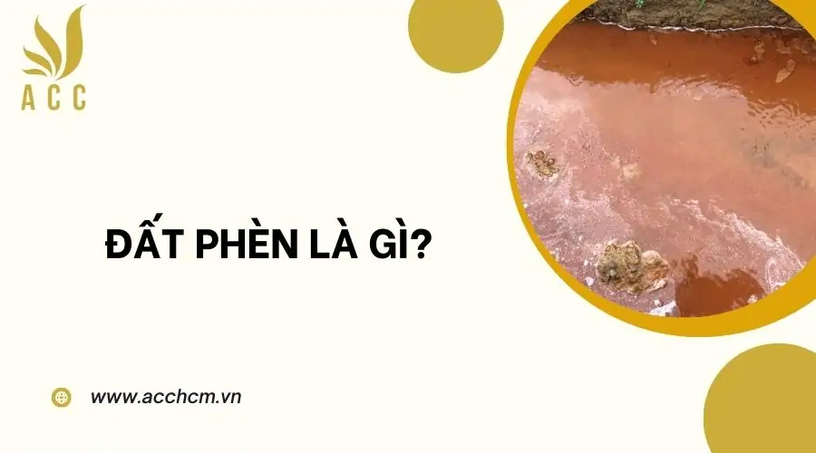 Đất phèn là gì