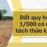 Đất quy hoạch 1500 có được tách thửa không?