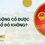 Đất ruộng có được cấp sổ đỏ không