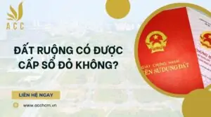 Đất ruộng có được cấp sổ đỏ không