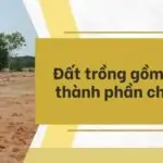 Đất trồng gồm mấy thành phần chính?