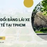 Dịch vụ đổi bằng lái xe quốc tế tại TPHCM