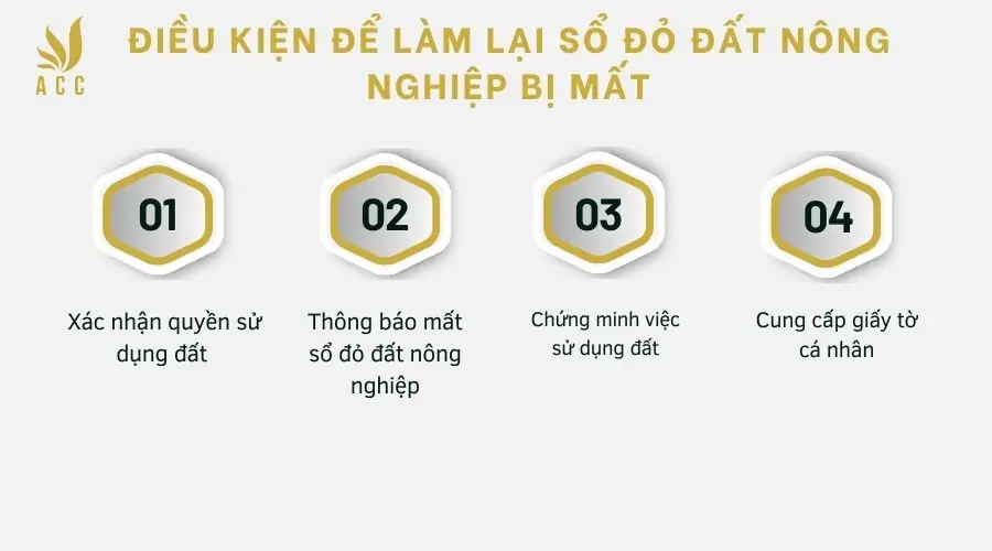 Điều kiện để làm lại sổ đỏ đất nông nghiệp bị mất