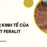 Giá trị kinh tế của đất feralit