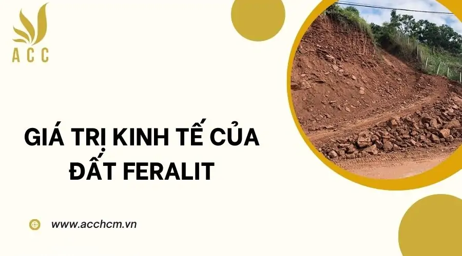 Giá trị kinh tế của đất feralit