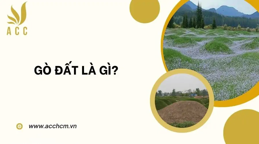 Gò đất là gì