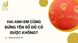 Hai anh em cùng đứng tên sổ đỏ có được không