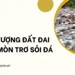 Hiện tượng đất đai bị xói mòn trơ sỏi đá