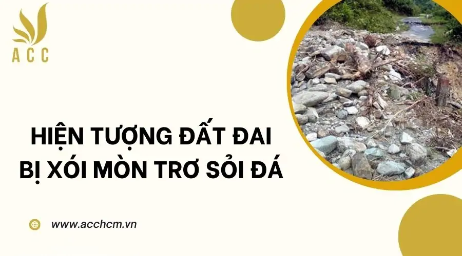 Hiện tượng đất đai bị xói mòn trơ sỏi đá