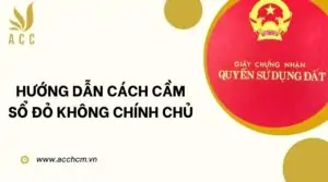 Hướng dẫn cách cầm sổ đỏ không chính chủ