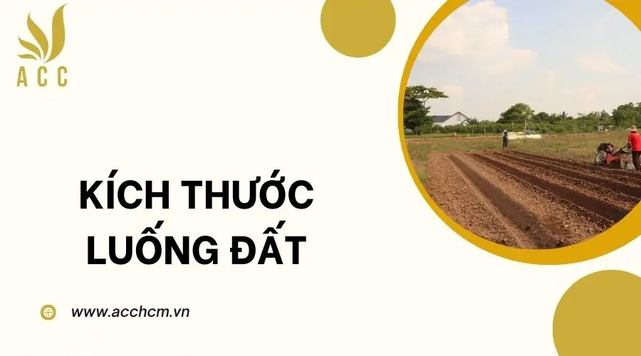 Kích thước luống đất