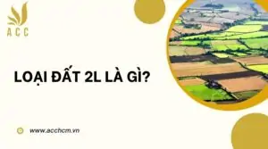 Loại đất 2l là gì