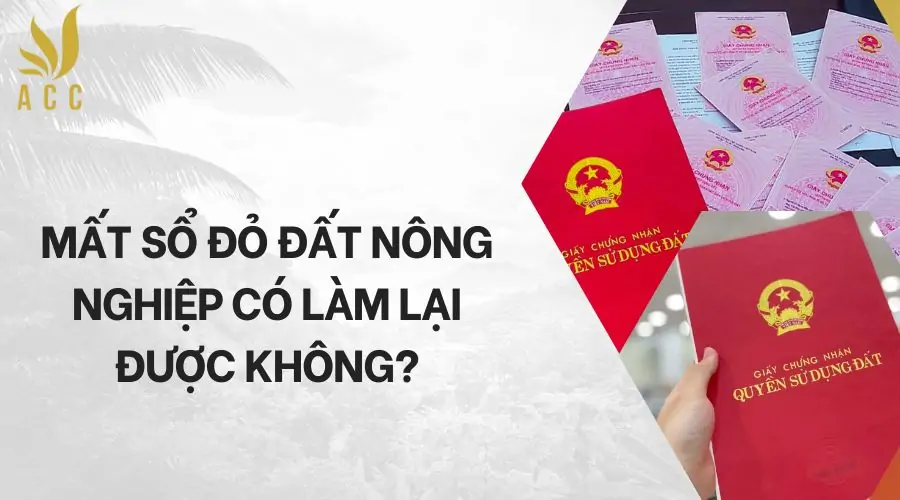 Mất sổ đỏ đất nông nghiệp có làm lại được không