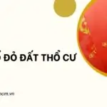 Mẫu sổ đỏ đất thổ cư