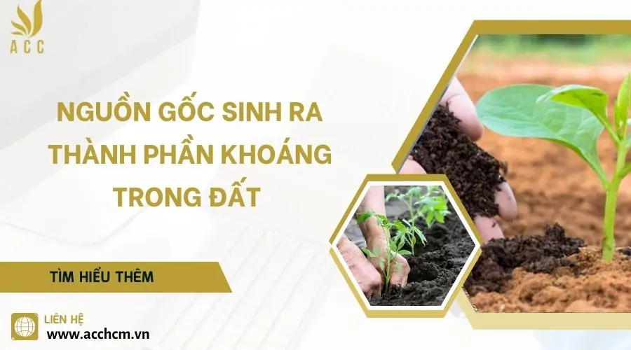 Nguồn gốc sinh ra thành phần khoáng trong đất