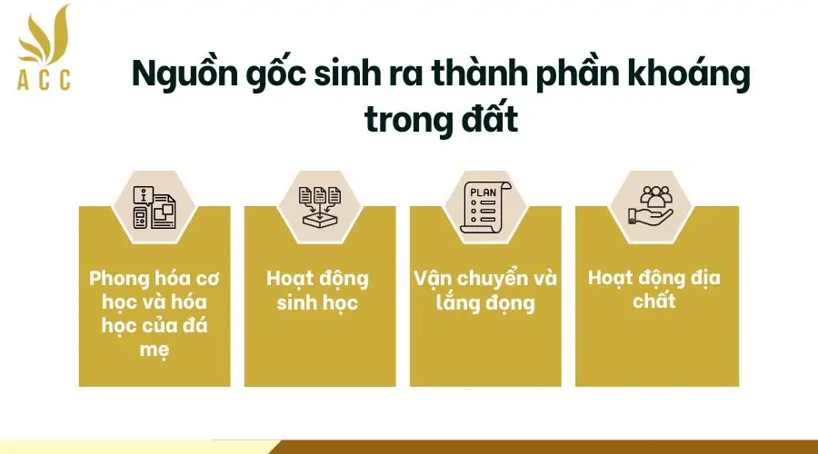 Nguồn gốc sinh ra thành phần khoáng trong đất