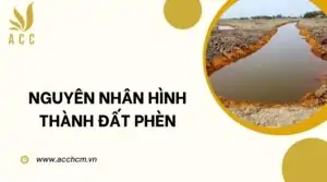 Nguyên nhân hình thành đất phèn