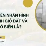 Nguyên nhân hình thành gió đất và gió biển là