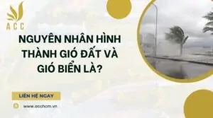 Nguyên nhân hình thành gió đất và gió biển là