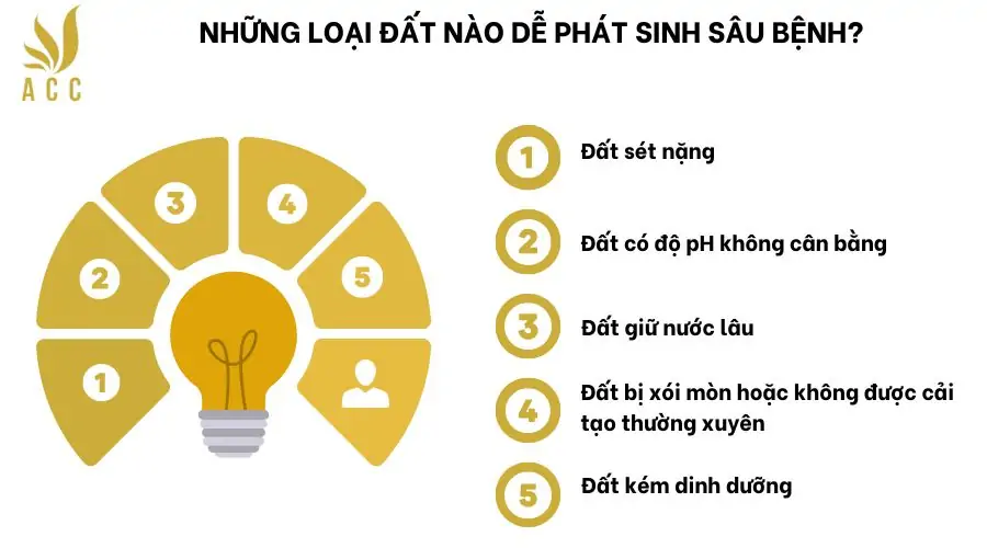 Những loại đất nào dễ phát sinh sâu bệnh (1)