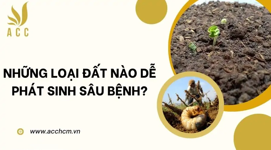 Những loại đất nào dễ phát sinh sâu bệnh